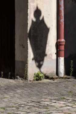 25 2024 01 11 Bildbesprechung 2023 09 6562