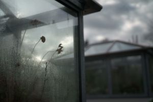 13 2024 02 08 Bildbesprechung 20240201  WKL40309