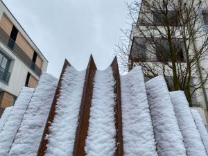 11 2024 05 16 Bildbesprechung UW Roethelheim