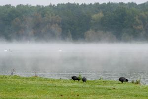 11 2024 Bildbesprechung ABC02927