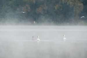 12 2024 Bildbesprechung ABC02928
