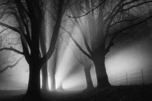 7 Uwie Nebel