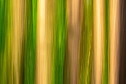  5220090   5220090