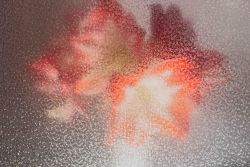 11 2024 Bildbesprechung  76A2232