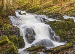 Selkefall   2