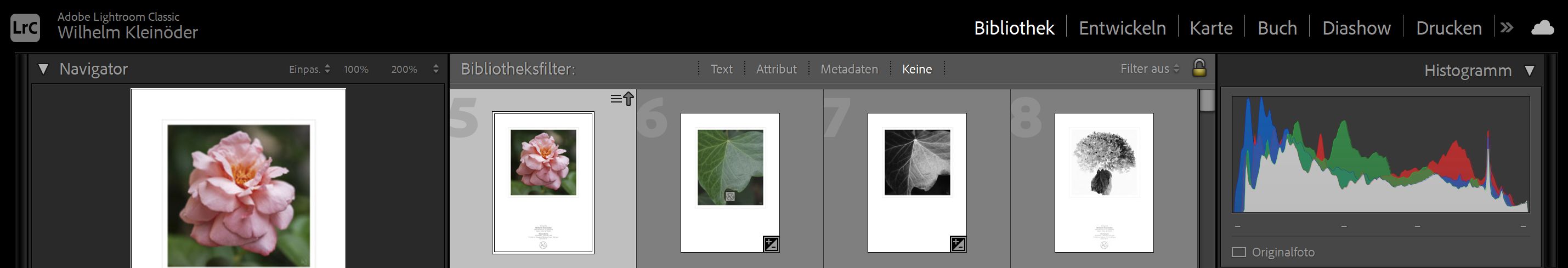 Header Fotopraxis